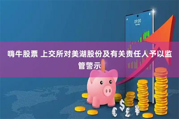 嗨牛股票 上交所对美湖股份及有关责任人予以监管警示