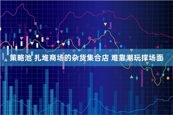 策略池 扎堆商场的杂货集合店 难靠潮玩撑场面
