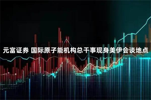 元富证券 国际原子能机构总干事现身美伊会谈地点