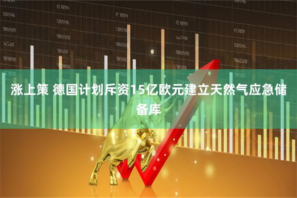 涨上策 德国计划斥资15亿欧元建立天然气应急储备库
