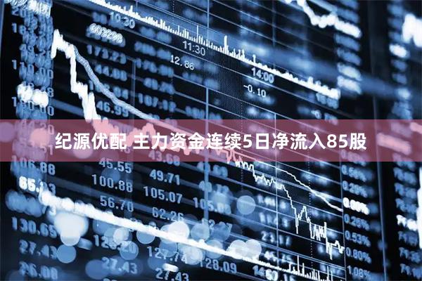 纪源优配 主力资金连续5日净流入85股